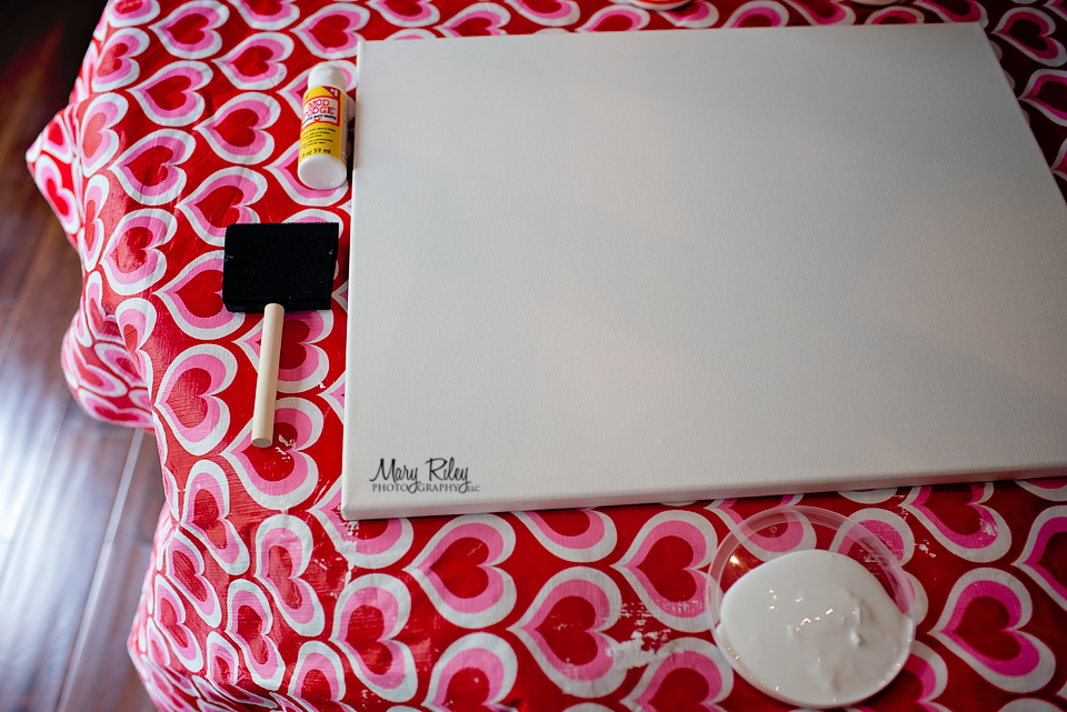 Canvas-Wall-8-Mary-Riley-Photography-Wentzville-Missouri How to Make a DIY Photo Canvas on a Budget Activities Guest Bloggers  