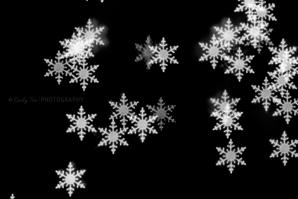 Carly-Bee-Photography-Snowflake-Bokeh1.0 Enjoy a FREE Snowflake Bokeh Brush for Photoshop Free Editing Tools Photo Sharing & Inspiration  