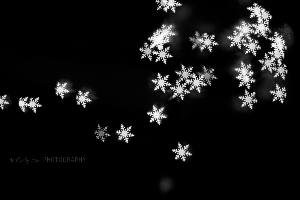 Carly-Bee-Photography-Snowflake-Bokeh2 Enjoy a FREE Snowflake Bokeh Brush for Photoshop Free Editing Tools Photo Sharing & Inspiration  