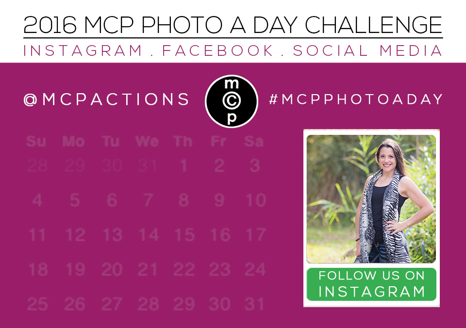 mcp-photo-a-day-2016 MCP Photo A Day Challenge: June 2016 Activities Assignments MCP Actions Projects  