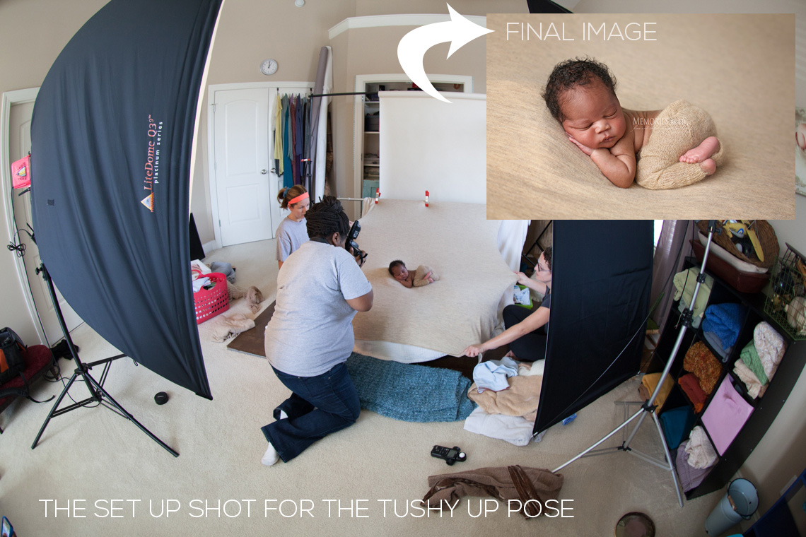 tushy-up-pull-back Learn to Master the Tushy-Up Newborn Pose Photoshop Actions  