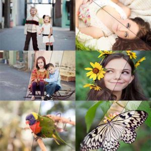 Four Seasons ™ Photoshop-acties