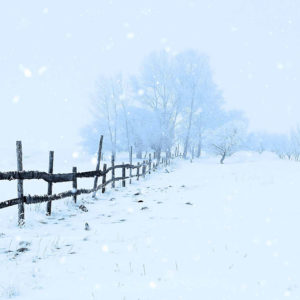 تصویر-اقدام-زمستان-برف