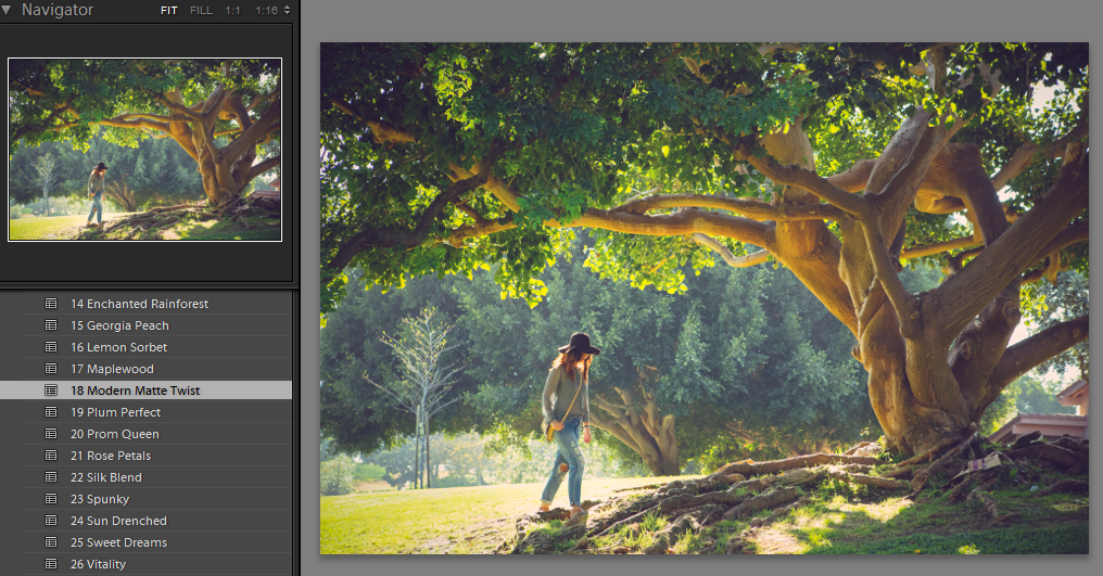 1 Make Your Own Ethereal Photos in Lightroom Within Minutes Lightroom Tips  