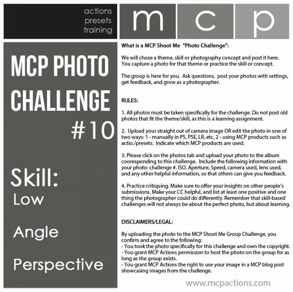 182286_10151387546836638_1148306195_n-600x5981 MCP Editing and Photography Challenge: Höjdpunkter från denna vecka Aktiviteter Uppgifter Fotodelning och inspiration