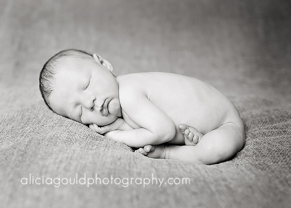 5010241064_993b9d2417_o So You Booked a Newborn Photography Session. Now What? Guest Bloggers Photography Tips  