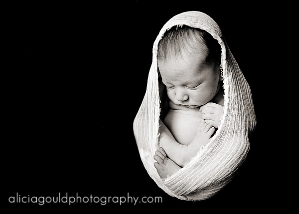 5010241254_37a6f48f4c_o So You Booked a Newborn Photography Session. Now What? Guest Bloggers Photography Tips  