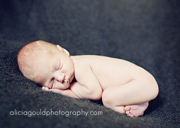 5010241312_de0363c3f0_o So You Booked a Newborn Photography Session. Now What? Guest Bloggers Photography Tips  