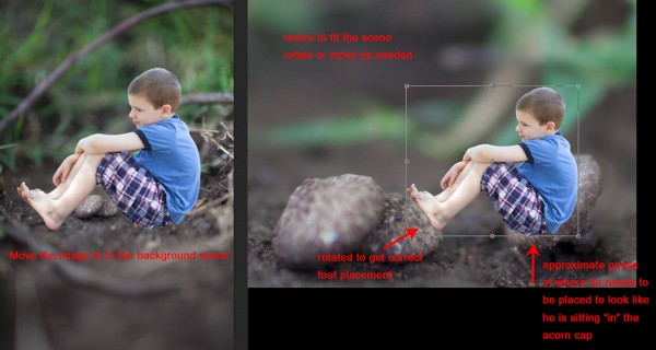 એકોર્ન-ટ્યુટોરિયલ-9-600x3201 ફોટોશોપ પ્રવૃત્તિઓમાં ફantન્ટેસી સંયુક્ત છબીઓ કેવી રીતે બનાવવી બ્લુપ્રિન્ટ્સ ફોટો શેરિંગ અને પ્રેરણા ફોટોશોપ ટીપ્સ