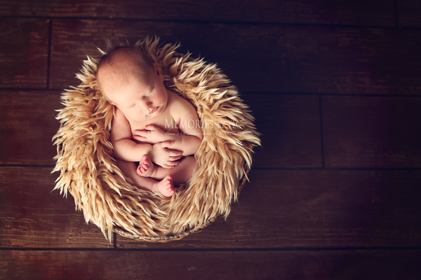 Bakettopdownuse 7 Essential Newborn Photography Props to Start Your Collection Guest Bloggers Photo Sharing & Inspiration Photography Tips  
