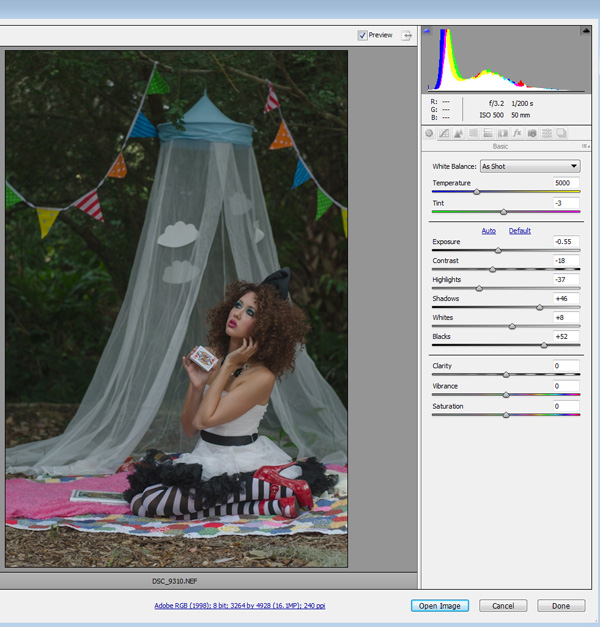 DSC_9310-acr Photoshop Actions + Raw Formula for a Matte Look with Pop Blueprints Photoshop Actions Photoshop Tips  