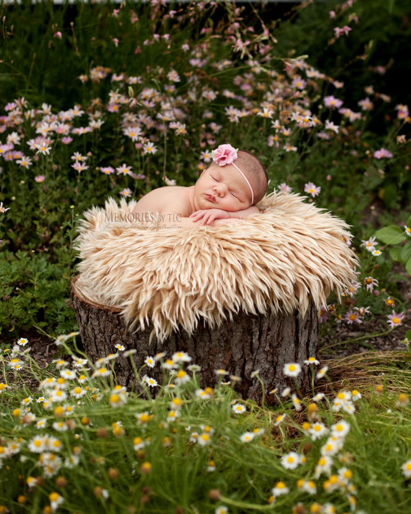 IMG_8372-treestump1 Top 5 Secrets to Successfully Photographing Newborns Outdoors Photo Sharing & Inspiration Photography Tips  