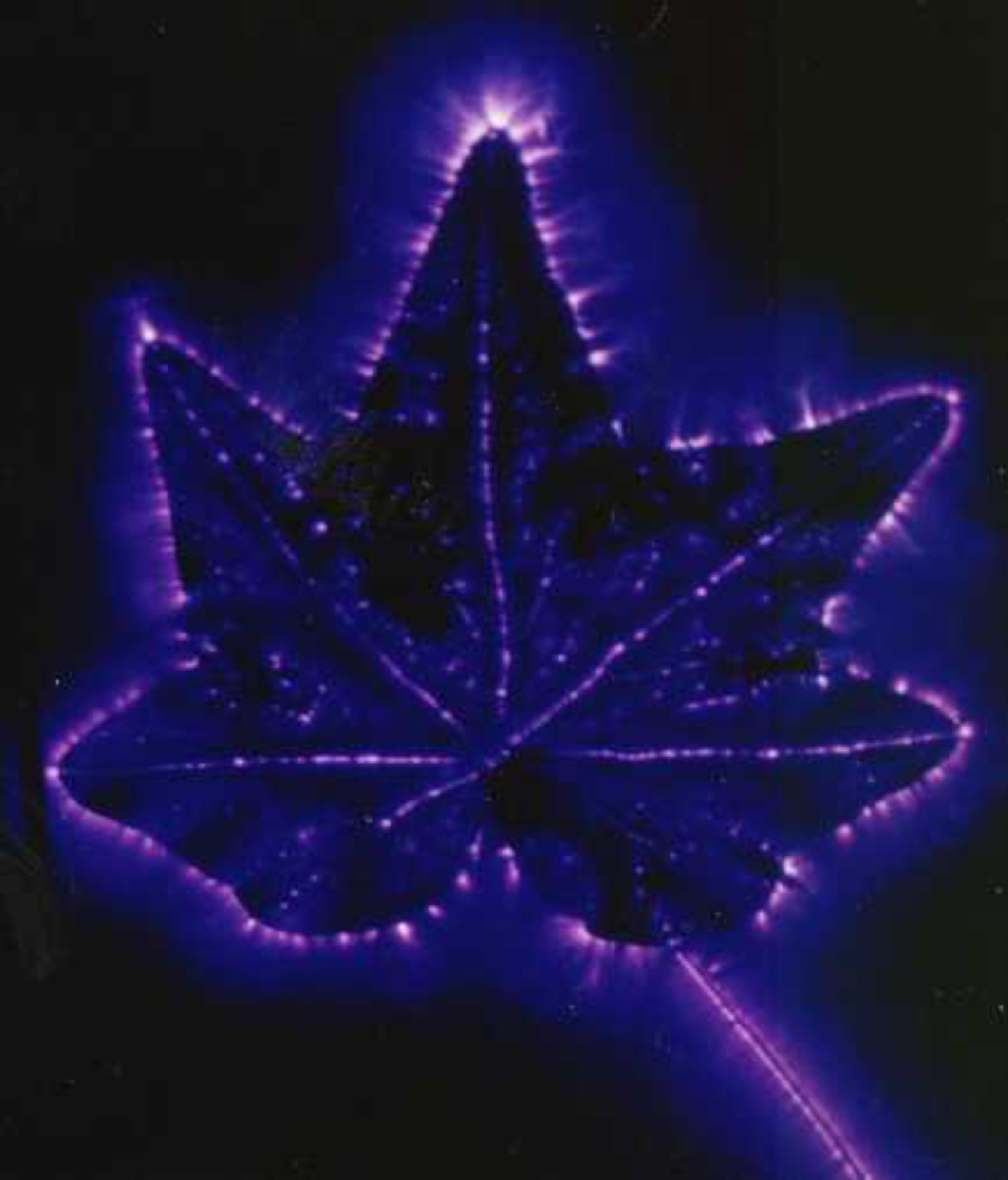 How to Take Kirlian Photos My Step by Step Process MCP Actions