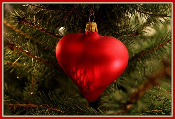 د MCP-Christmas-Wish-Els-stra پروجیکٹ MCP: د دسمبر څخه د برنامې ، د # 4 فعالیتونو امتیازونه د عکس شریکولو او الهام کولو پروژه MCP