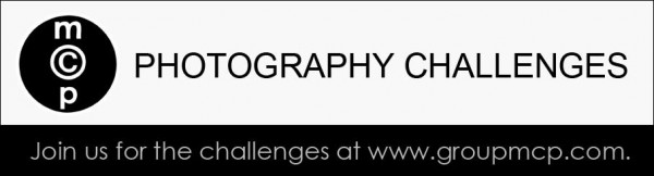 MCP-Photography-Challenge-Banner-600x16237 MCP 사진 및 편집 과제 : 이번주의 하이라이트 활동 과제 사진 공유 및 영감