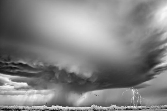 Storming winner - Mitch Dobrowner