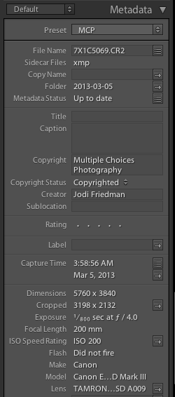 Screen-shot-2013-03-19-at-6.12.25-PM1 Uncover Camera Settings + More in Photoshop, Elements, and Lightroom Lightroom Tips Photography Tips Photoshop Tips  