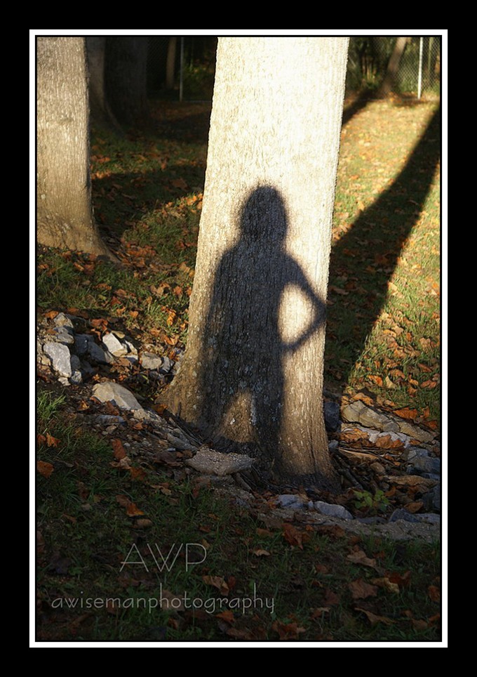 amber-wiseman Shadow Pictures - here are the photos that MCP Actions Blog readers sent in Assignments  