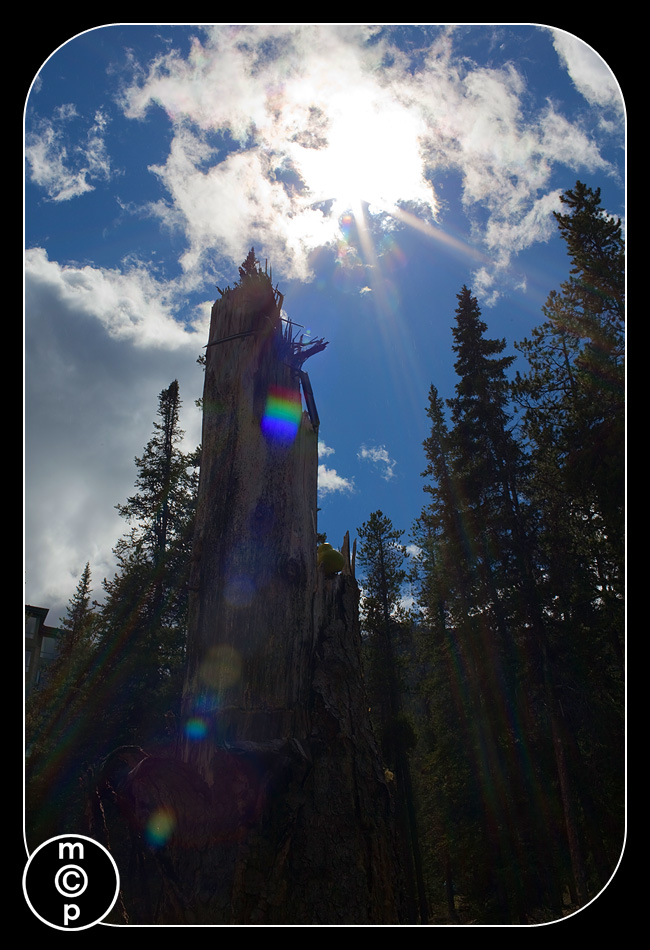 banff-59 Colors of Light ~ Red Green Blue ~ Sun Flare in Photography Assignments Photography Tips  
