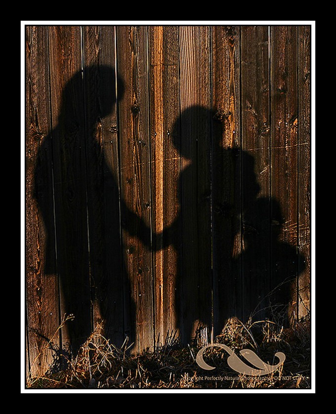 barb-at-tabiiy-fotografiya Shadow Pictures - bu erda MCP Actions Blog o'quvchilari topshiriqlarda yuborgan fotosuratlar.