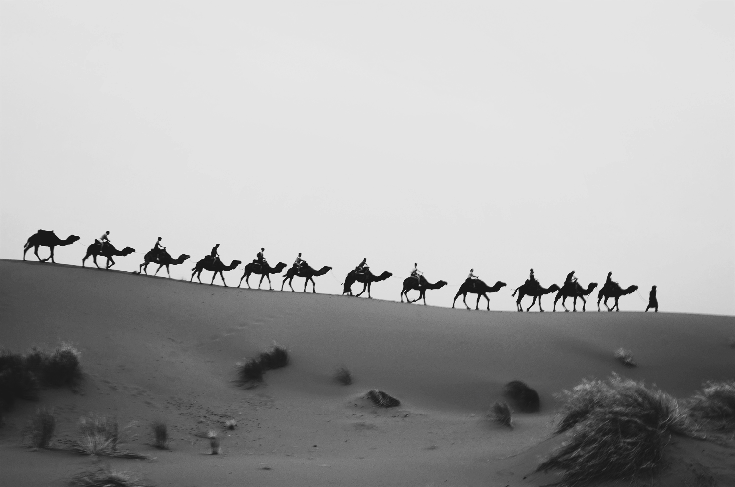 brilliant-bw-base-and-chic How to Take Powerful Travel Photos Photography Tips Photoshop Tips  