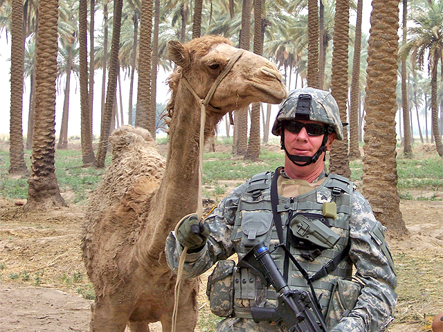 camel Memorial Day Picture Share ~ Fotos af patriotisme Fotodeling og inspiration