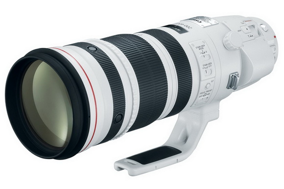 Canon EF 200-400mm f / 4L IS USM-extender 1.4x