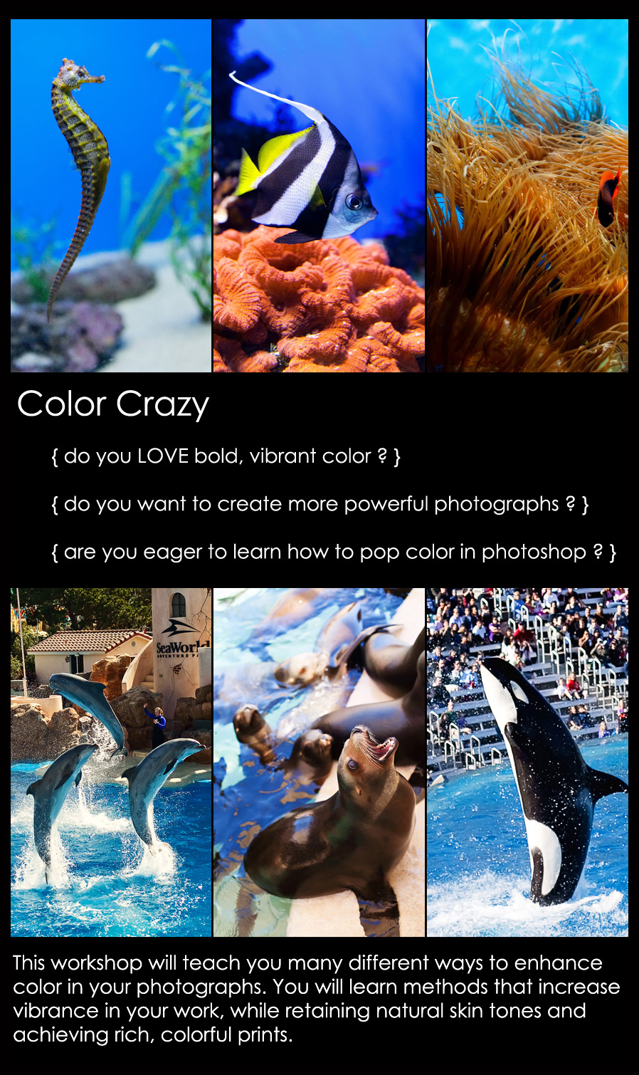 color-crazy-main New Workshop Added - COLOR CRAZY: Enhancing Color In Photoshop MCP Actions Projects  