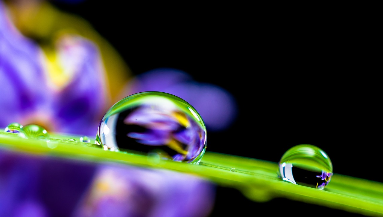 drop-of-water-351778_1280-1マクロ水滴を撮影するためのヒントアクティビティゲストブロガー写真撮影のヒントPhotoshopのヒント
