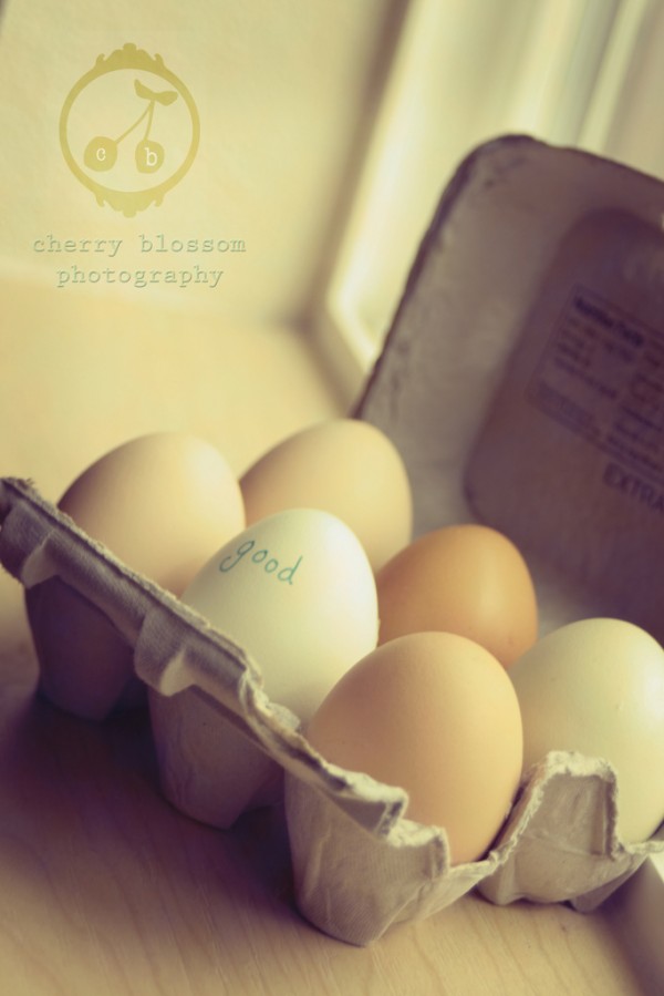 eggs-600x899 MCP Project 52 - Week 15 Wrap Up + Week 16 Theme Activities Assignments Photo Sharing & Inspiration  