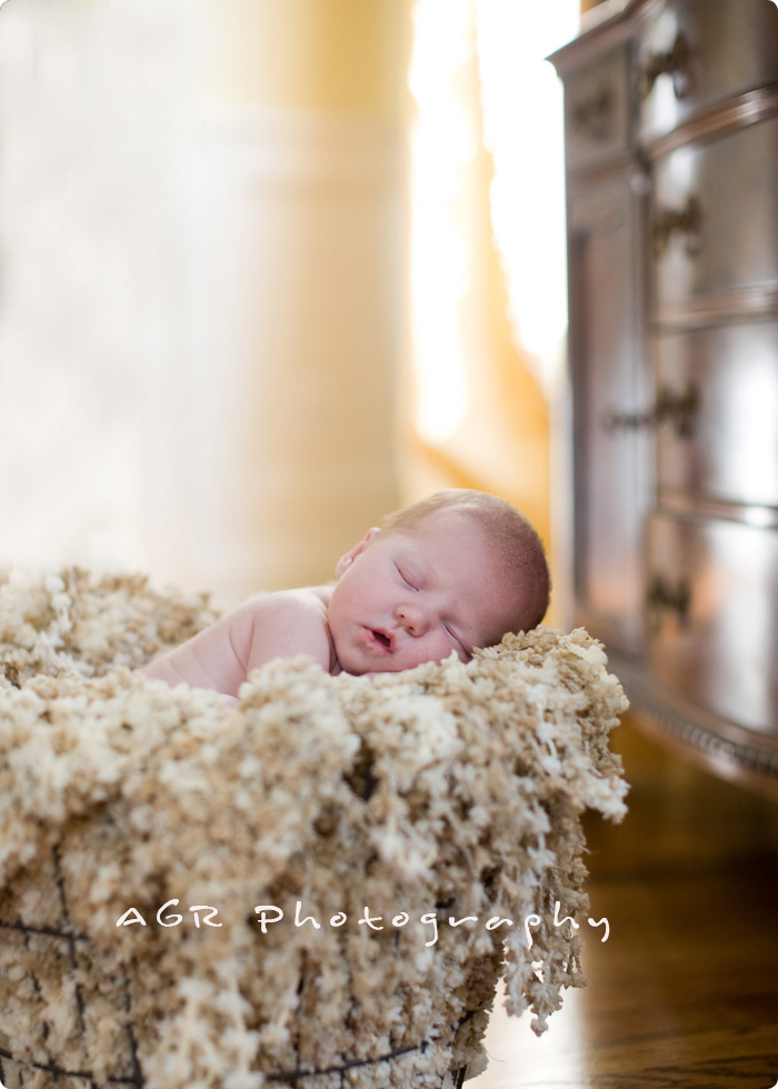 enviro005 Newborn Photography Poses ~ Styles of Newborns Tamu Blogger Tips Fotografi