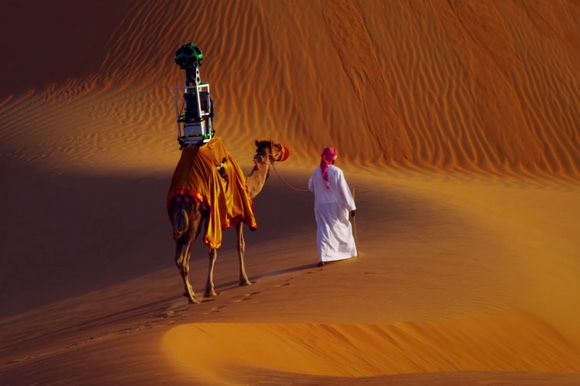 Camello con vistas al desierto de Google
