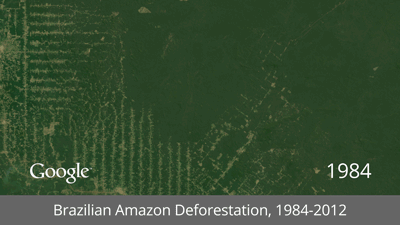 google-timelapse-amazon-deforestation Lub ntiaj teb pauv hloov mus rau 28 xyoo dhau los hauv Google Timelapse Raug Raug