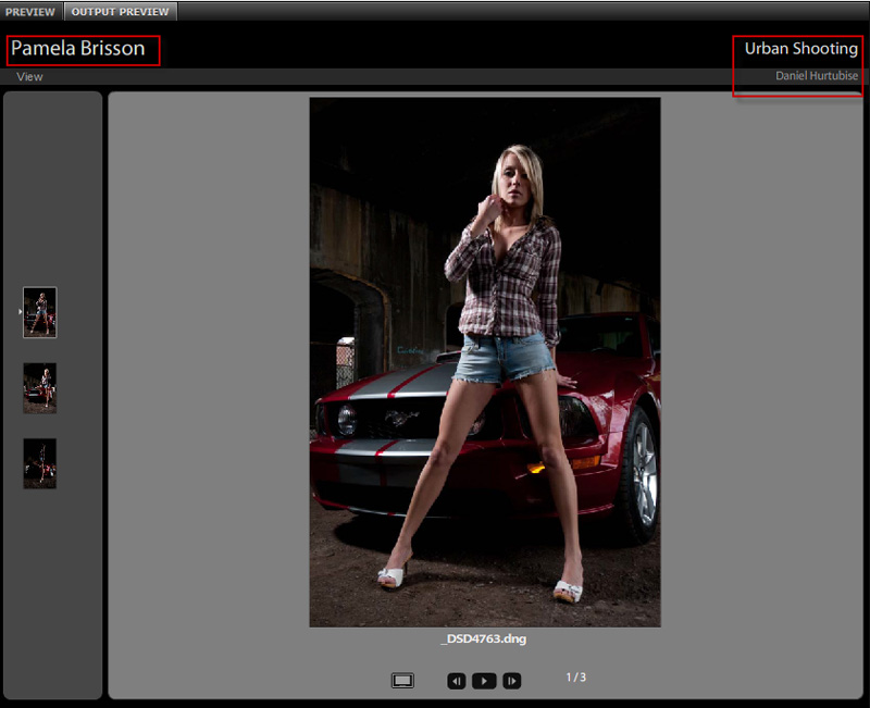 image012 Passaggi finali in Adobe Bridge - Preparazione per i Web Guest Blogger Suggerimenti per Photoshop