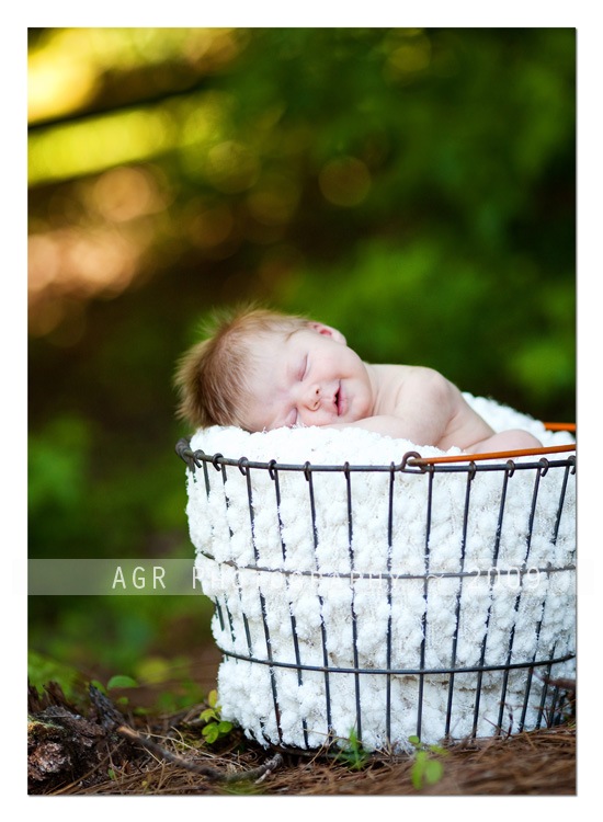 img-4034-thumb1 Newborn Photography: How to Use Light When Shooting Newborns Guest Bloggers Photography Tips  