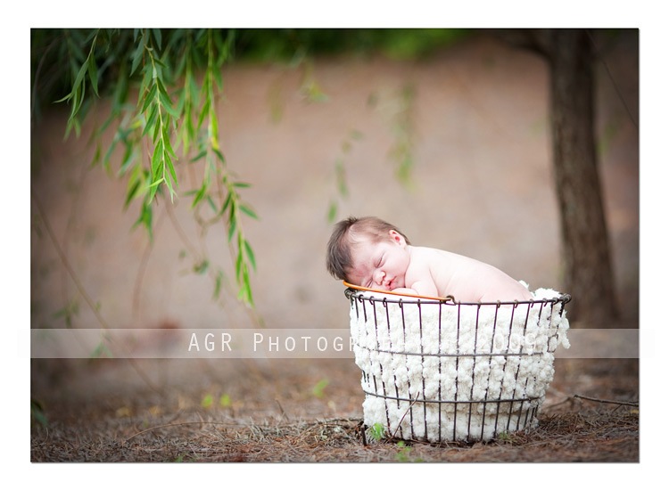 img-4962-thumb1 Newborn Photography: How to Use Light When Shooting Newborns Guest Bloggers Photography Tips  