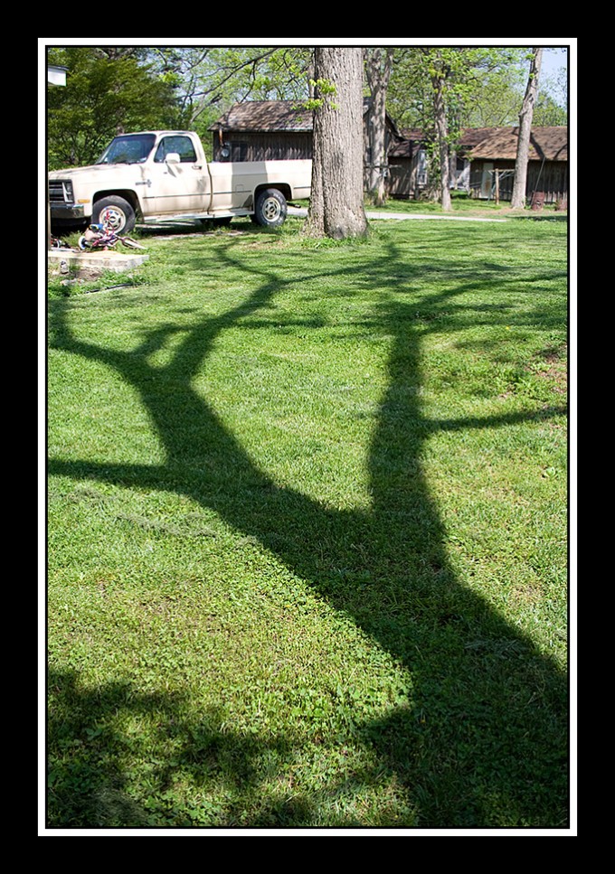 jackie-holloway2 Shadow Pictures - ето снимките, които читателите на MCP Action Blog изпратиха в Assignments