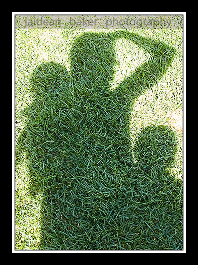 jaidean Shadow Pictures - here are the photos that MCP Actions Blog readers sent in Assignments  