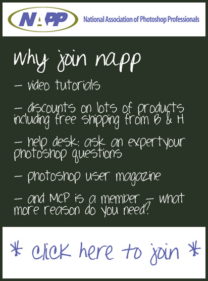 join-napp-copy Want to learn more about Photoshop?  Become a member of NAPP? MCP Actions Projects  
