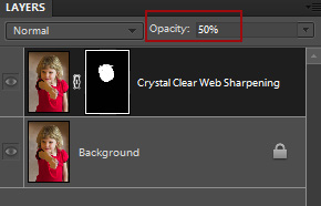 layer-opacity Photoshop Actions: 14 Reasons your Actions for Elements Might Not Work and How to Fix Them Guest Bloggers Photoshop Tips  