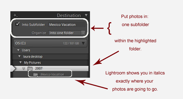 organize_into_one_folder Avoiding a Lightroom Folder Mess -- Lightroom Import Basics Guest Bloggers Lightroom Tips  