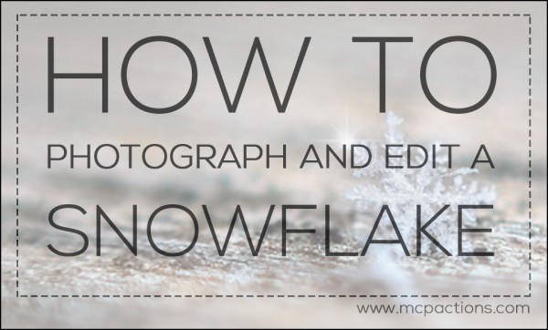 snowflake-600x362 How to Photograph and Edit a Snowflake + A Free Sparkle Brush Free Editing Tools Free Photoshop Actions Guest Bloggers Photography Tips Photoshop Tips  