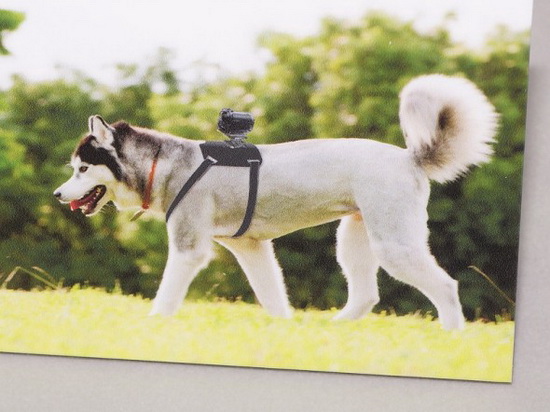sony-aka-dm1-action-kamera-monteringshunder Sony AKA-DM1 er et actionkamera-feste for hunder Fotodeling og inspirasjon