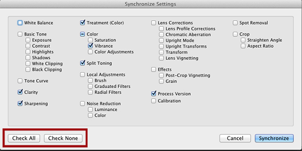 sync-setting600 Batch Editing in Lightroom - Video Tutorial Blueprints Lightroom Tips
