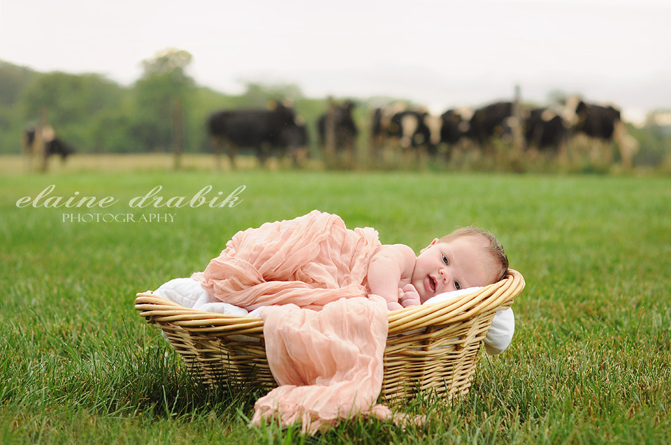 DSC_0461-1-FB Edit of Newborn Baby on a Farm  