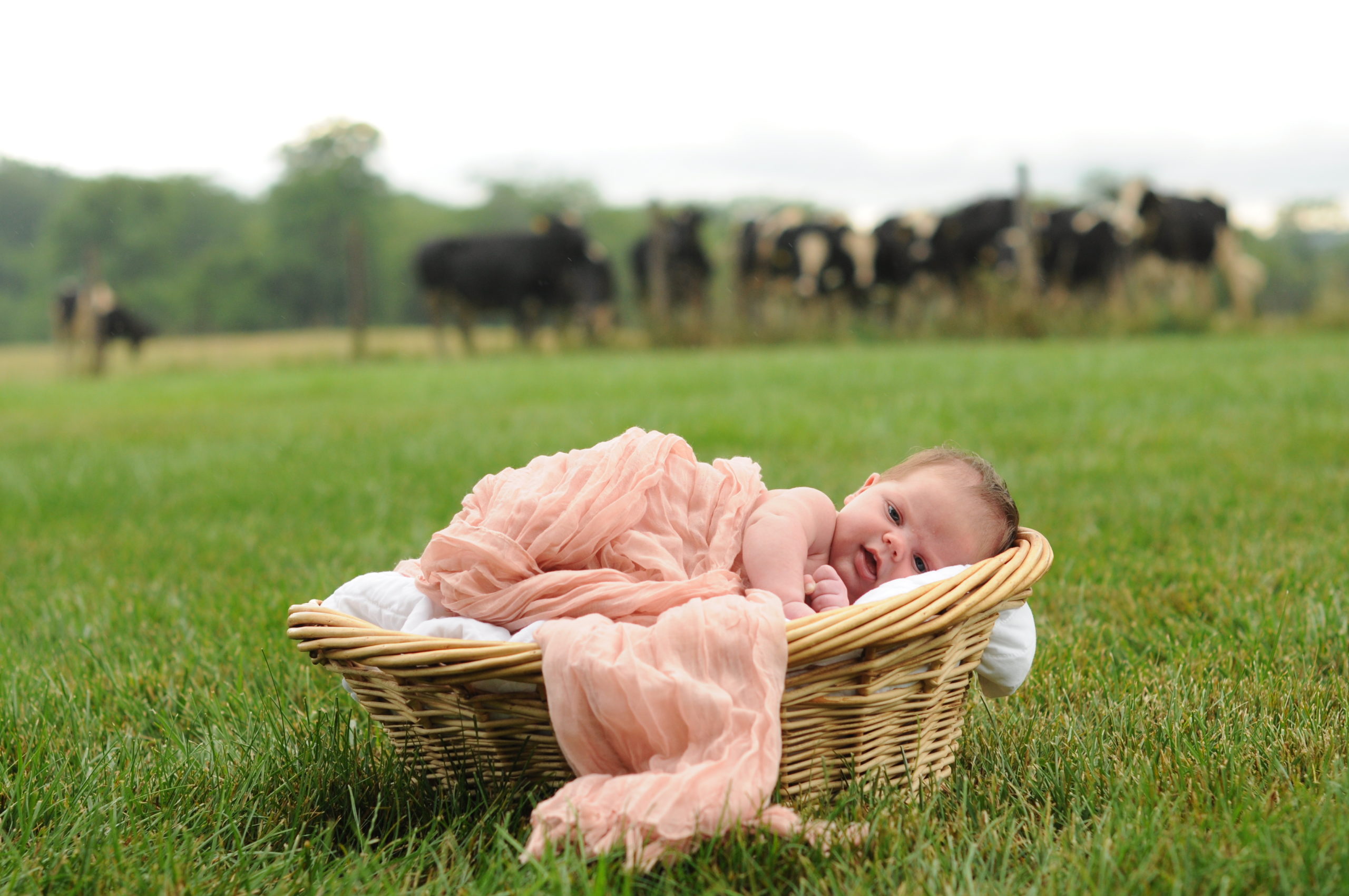 DSC_0461-scaled Edit of Newborn Baby on a Farm  