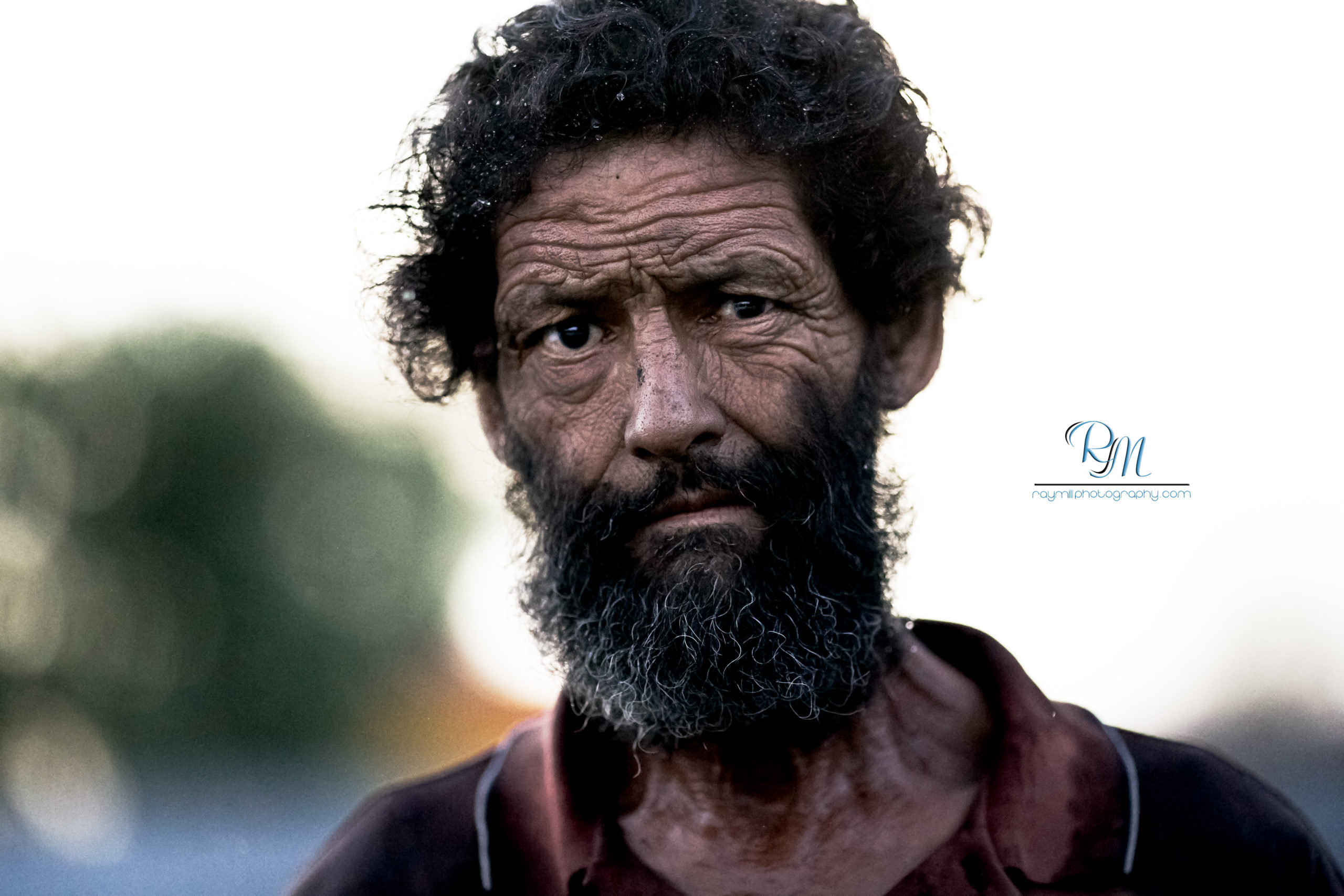 IMG_1630-Edit-scaled Gritty Detail with MCP Enlighten Lightroom Presets  