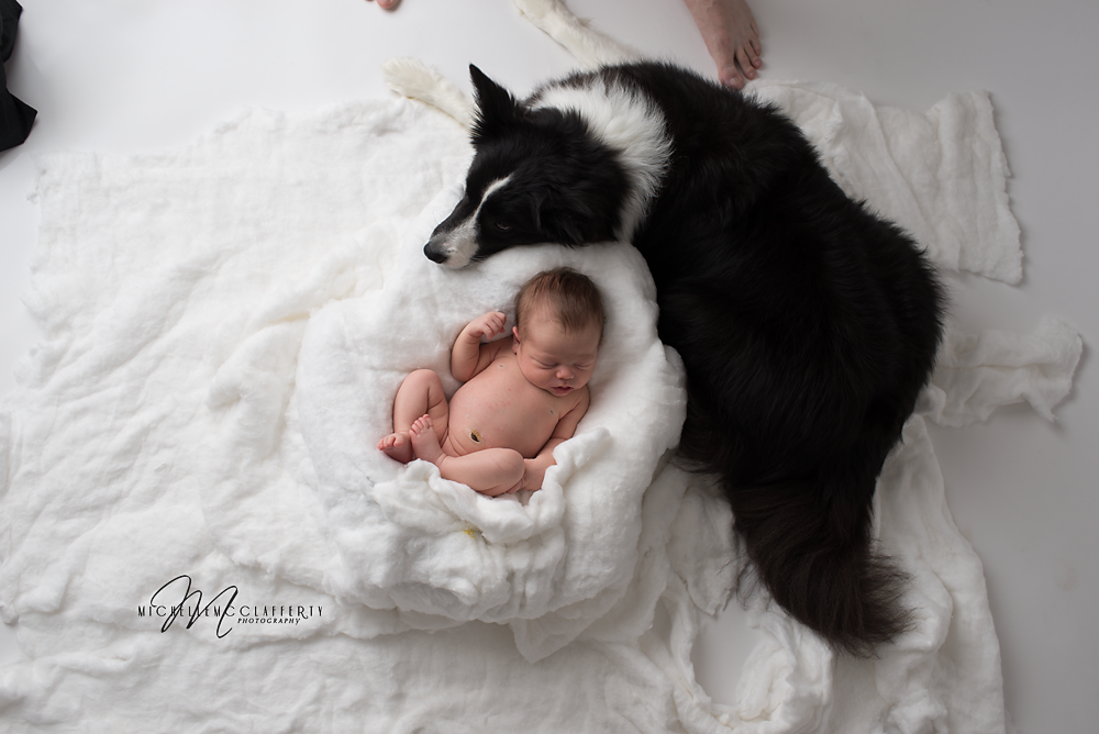Newborn_Dog_SOOC_Raleigh_Photographer_McClafferty_Web <h1>Black and White Edit With MCP Newborn Necessities Actions</h1>  