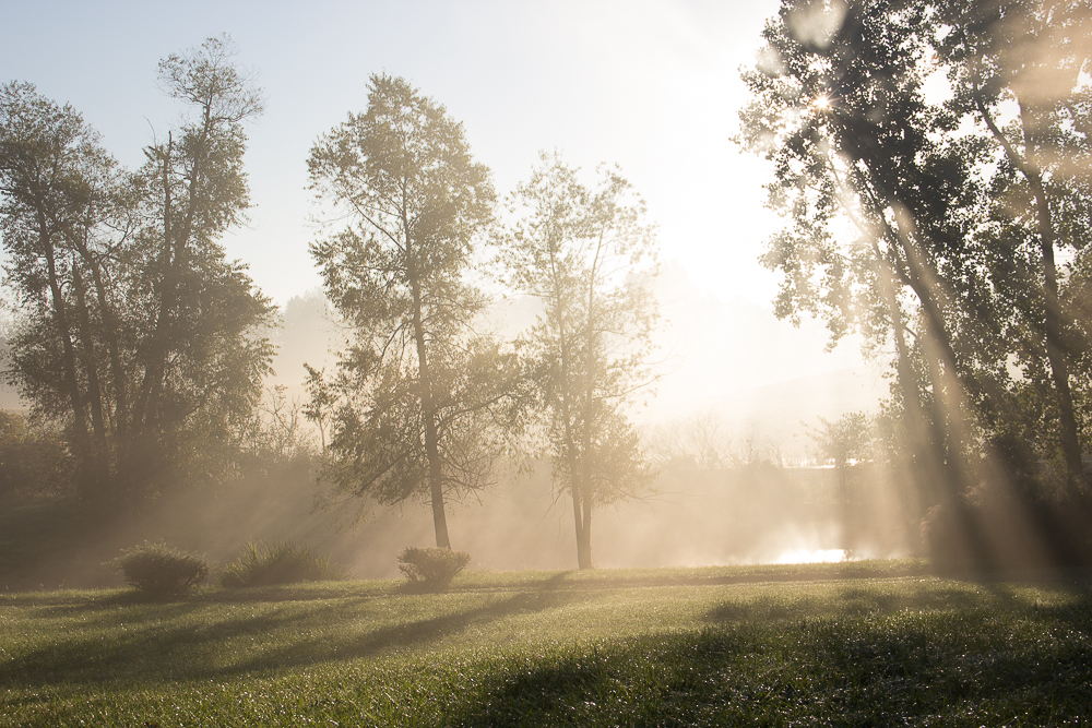 kabut-esuk-inspire-edit-sooc-1-of-1 Inspiring Golden Morning Fog
