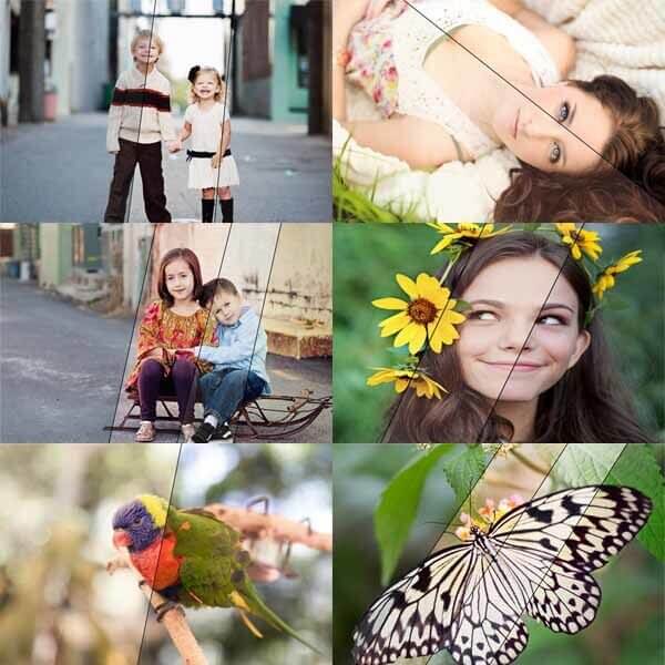 Four Seasons™ Photoshop Actions